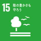 GLOBAL ENVIRONMENT 関連画像その4