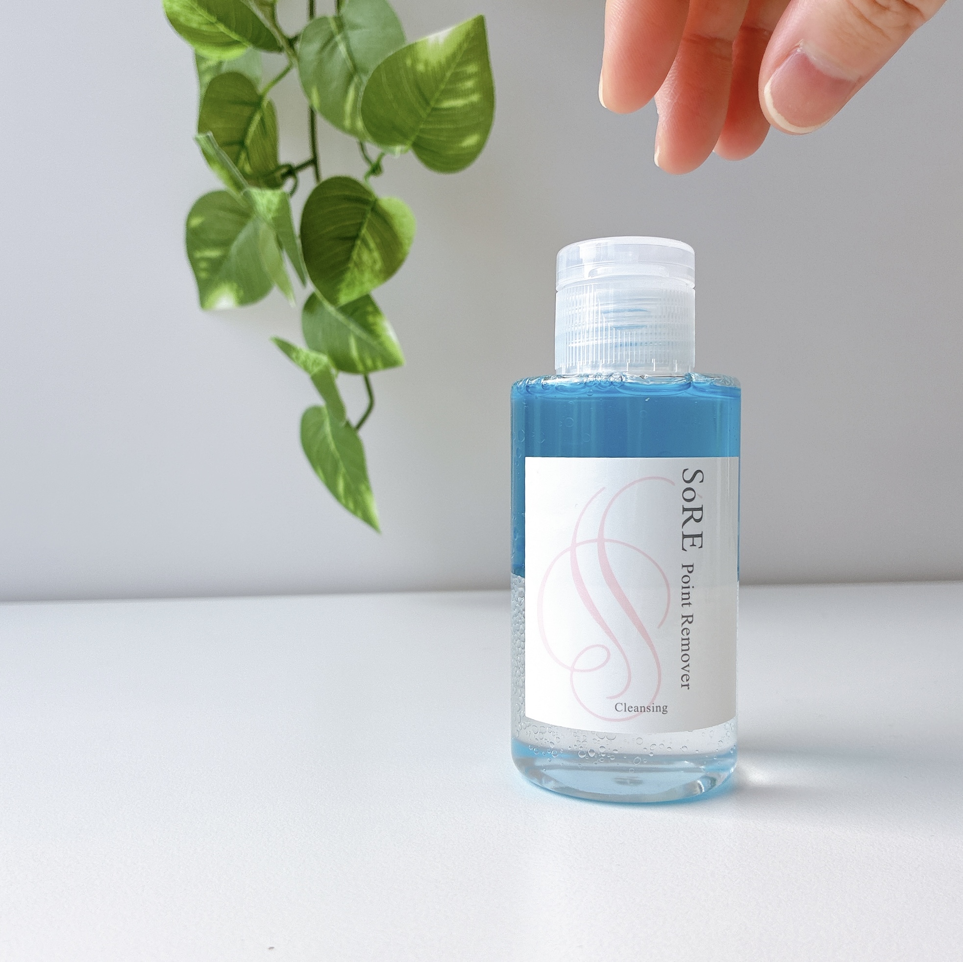 ソレ ポイントリムーバー