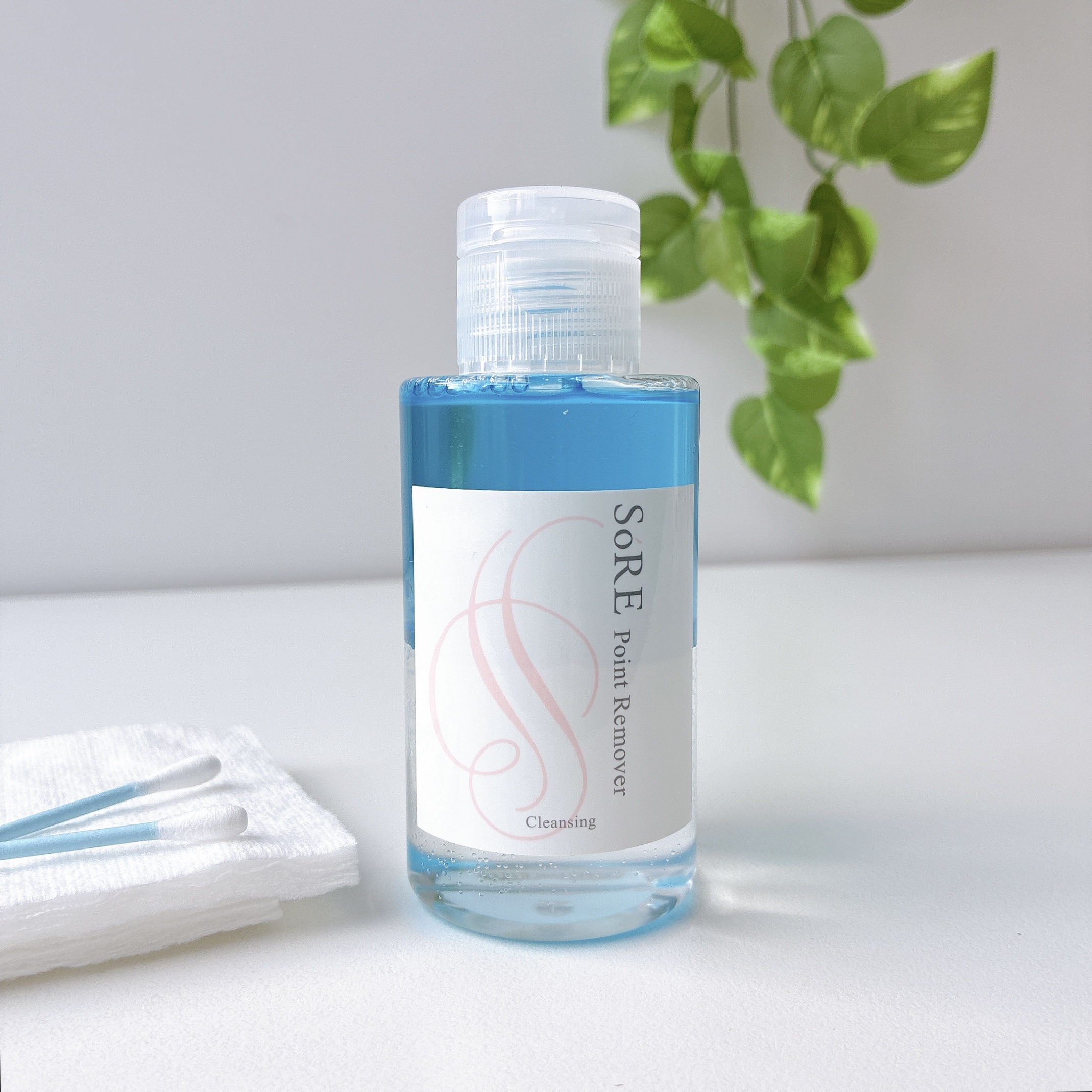 ソレ ポイントリムーバー