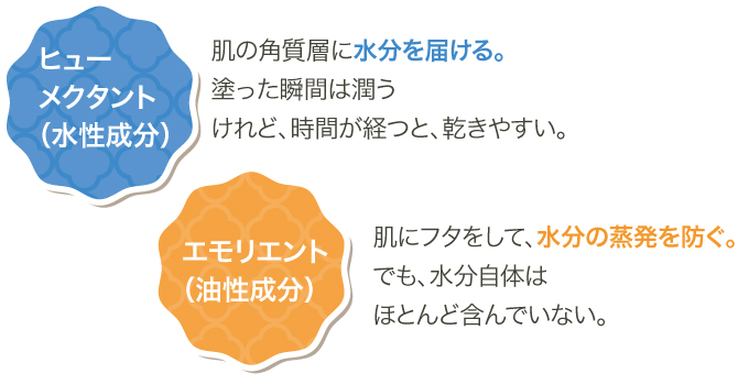 美のレシピvol.6(2025年11月号)本当に“潤う化粧水”ってどんなもの?