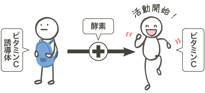 美のレシピvol.7(2025年12月号)ビタミンC美容液の効果を引き出す正しい使い方