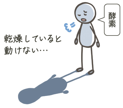 美のレシピvol.7(2025年12月号)ビタミンC美容液の効果を引き出す正しい使い方