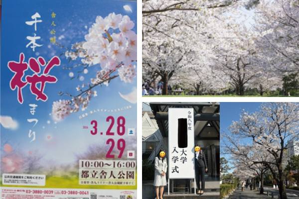 わが家の春便り ~お花見と入学式~