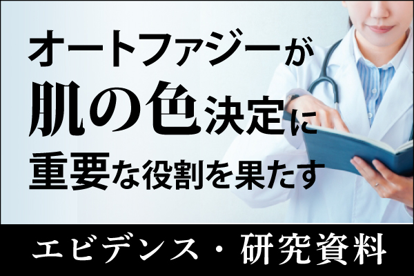 エビデンス・研究資料「オートファジーが肌の色の決定に重要な役割を果た」