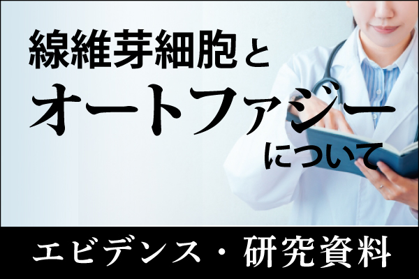 エビデンス・研究資料「線維芽細胞とオートファジーについて」