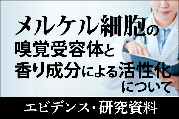 エビデンス・研究資料「メルケル細胞の嗅覚受容体と香り成分による活性化について」20240318
