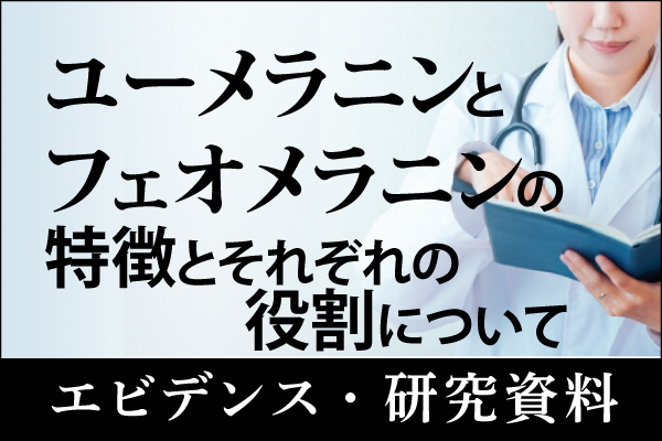 エビデンス・研究資料「ユーメラニンとフェオメラニンの特徴とそれぞれの役割について」20250726