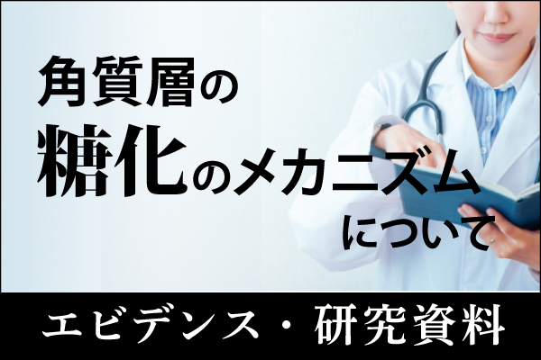 エビデンス・研究資料「角質層の糖化メカニズムについて」