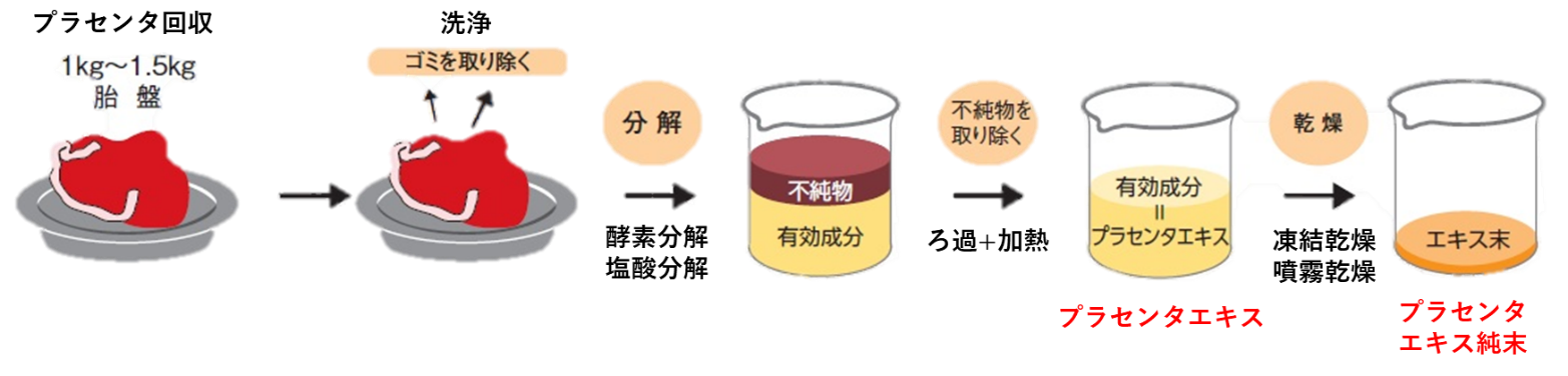 プラセンタエキスとプラセンタエキス純末の製造工程